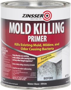 Rustoleum Mold-killing Primer